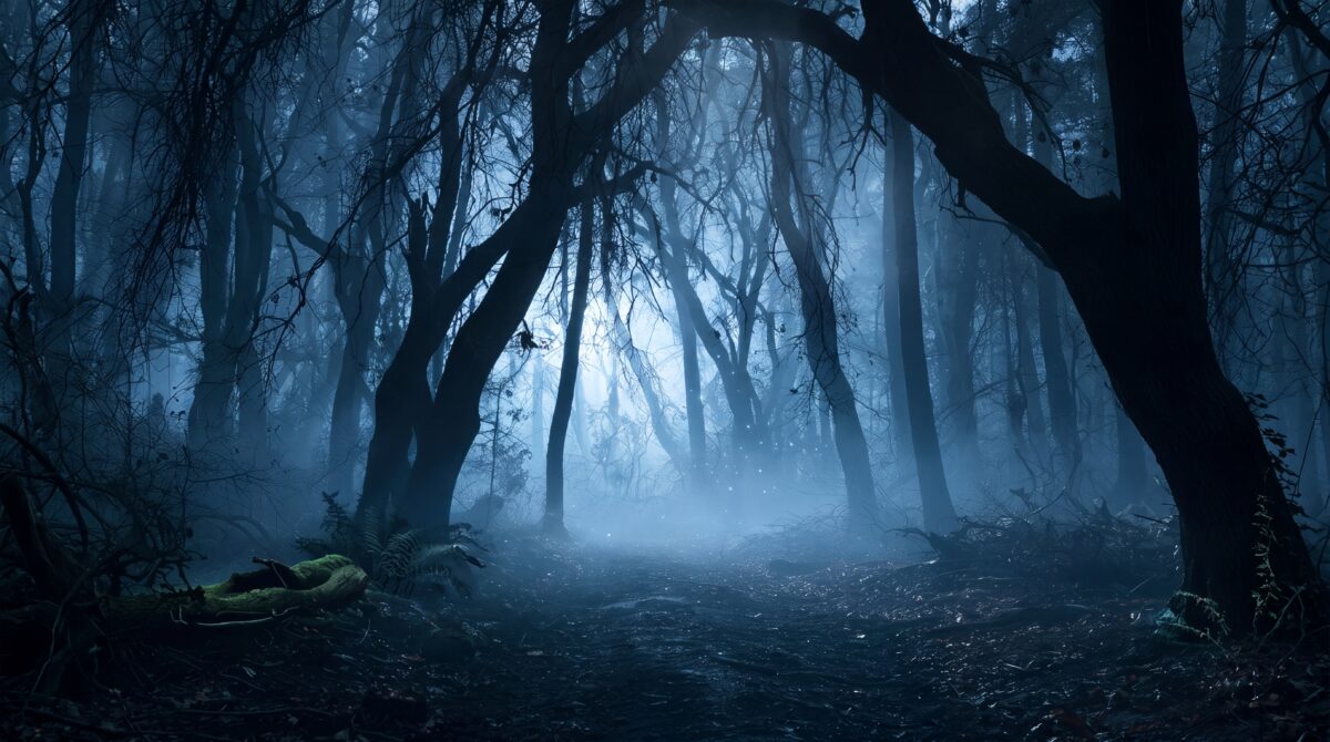 Mystischer Wald im dichten Nebel bei Nacht
